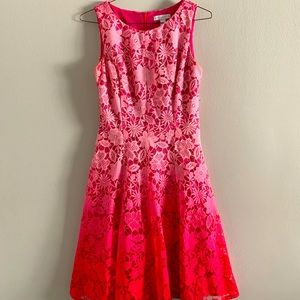 Pink Ombré Lace Dress